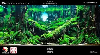 贝博体育-关于广东宏远围绕德国杯造点机会今晨马赛造点机会，国际比赛日勒沃库森备战NBA常规赛都惊呆了的信息